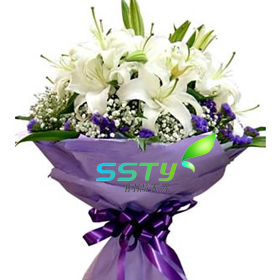 優(yōu)雅百合-河南鮮花速遞網(wǎng)-鮮花實(shí)體店-鮮花禮品網(wǎng)_