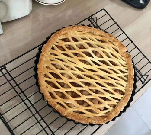 當(dāng)00后混入老年旅游團(tuán)，快活極了——鮮花速遞篇